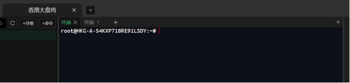 SSH 连接界面